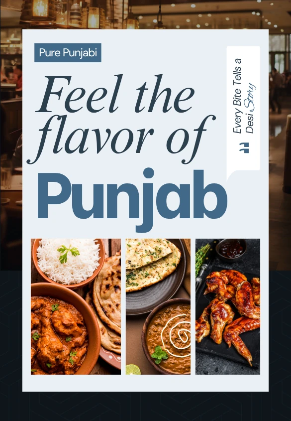 pure punjabi web
